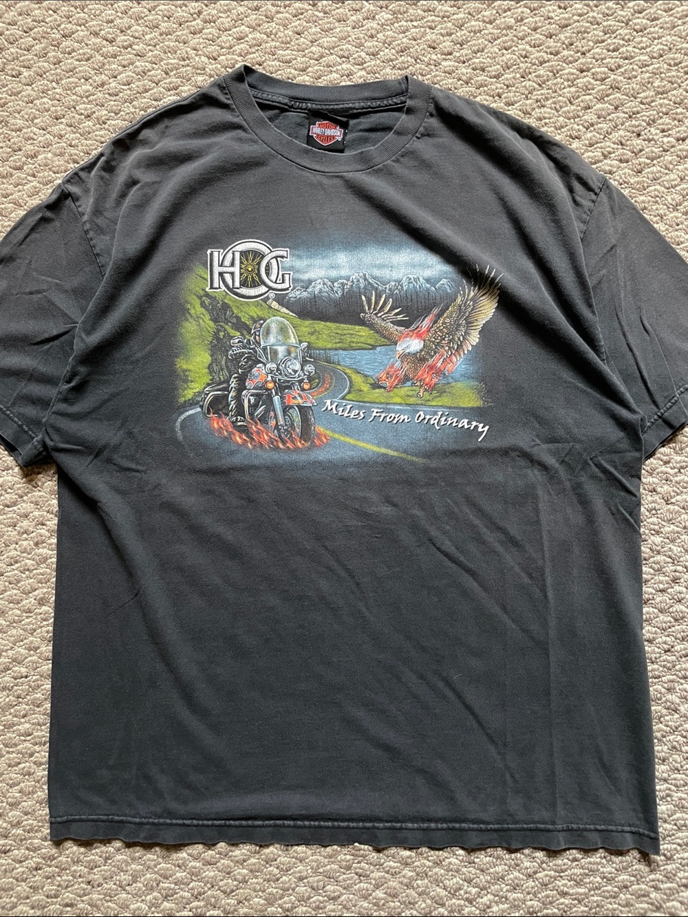 Harley Davidson HOG faded t shirt